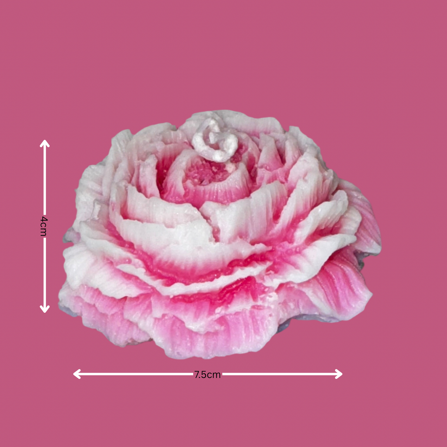 Peony